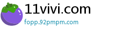 11vivi.com